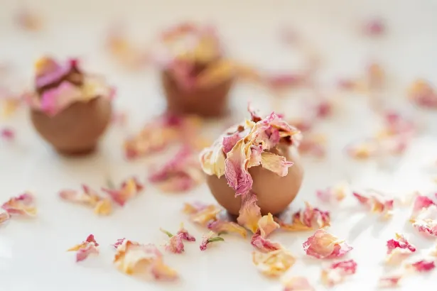 Fever Slots Cassino Casino App Android/iOS